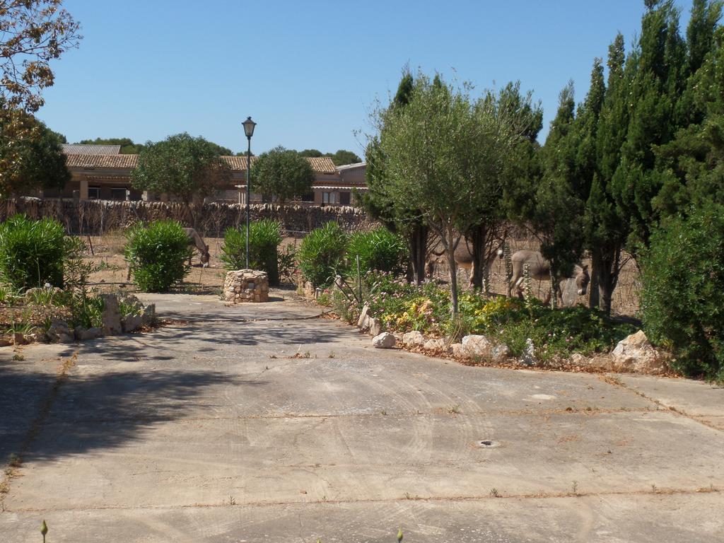 Sa Bassa Crua Agroturismo Sa Torre Bagian luar foto