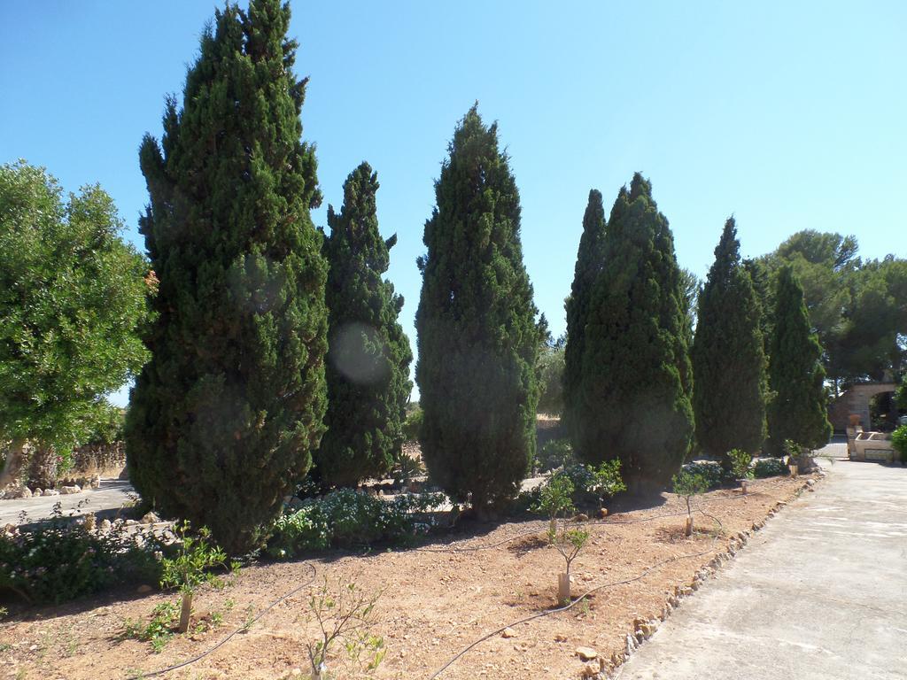 Sa Bassa Crua Agroturismo Sa Torre Bagian luar foto